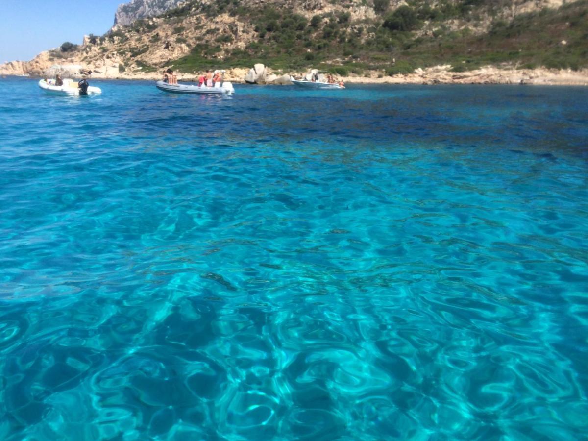 Casa Sul Mare Golfo Dell'Asinara I Porto Torres Exterior foto